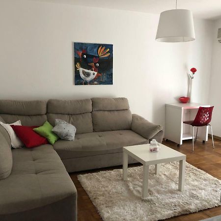 Apartment Safran Novigrad Istria Eksteriør bilde