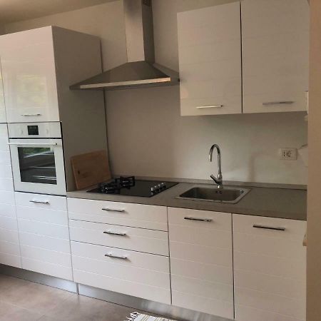 Apartment Safran Novigrad Istria Eksteriør bilde