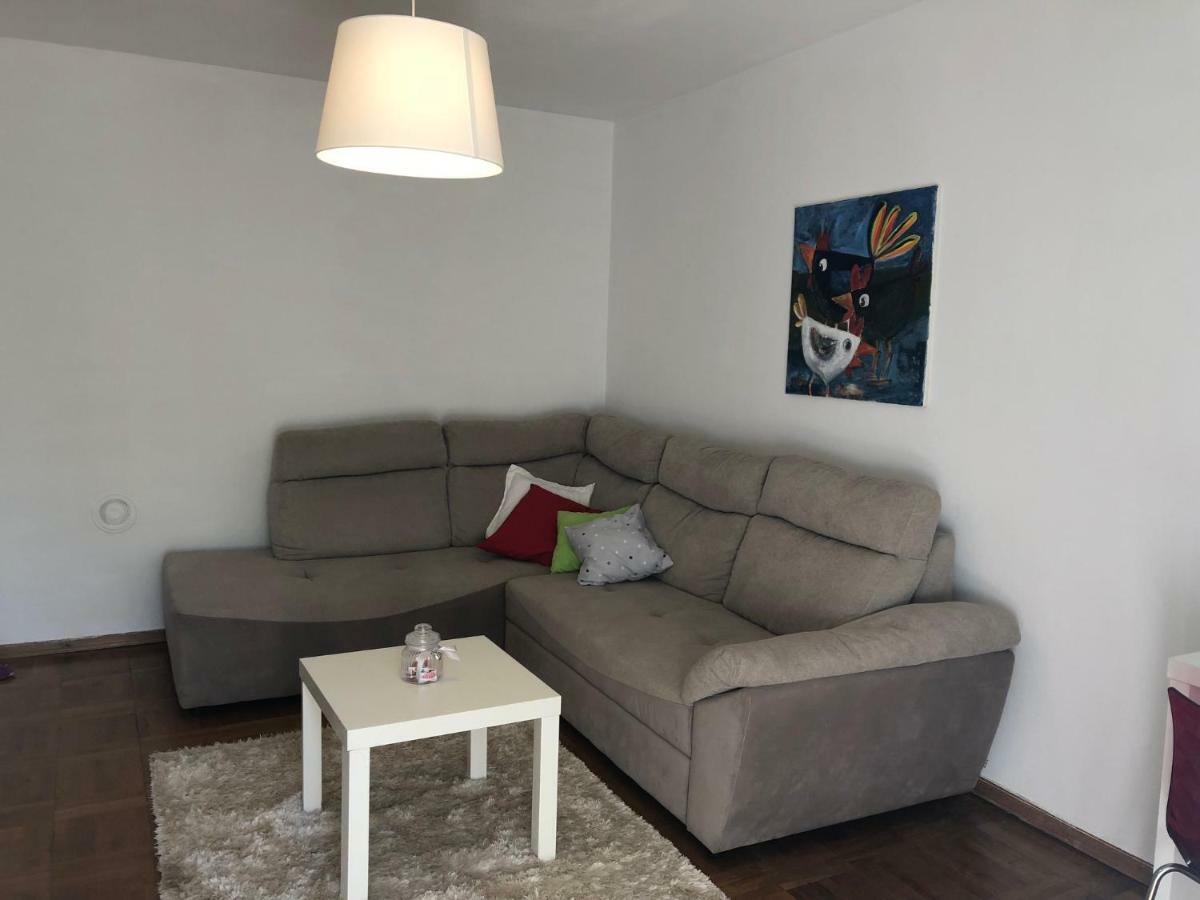 Apartment Safran Novigrad Istria Eksteriør bilde