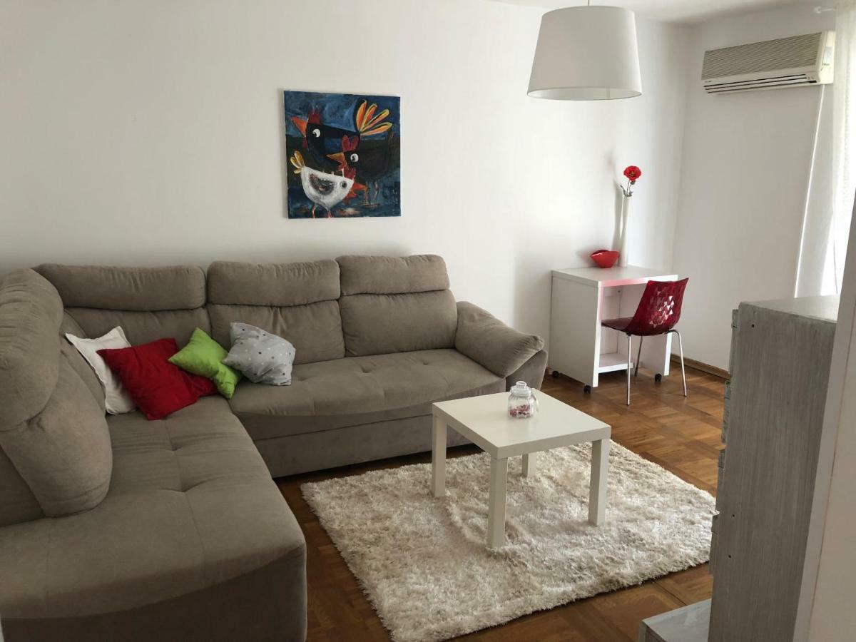 Apartment Safran Novigrad Istria Eksteriør bilde